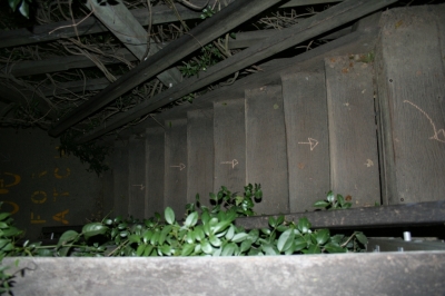 up the steps