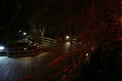 and past the boardwalk and past the boardwalk