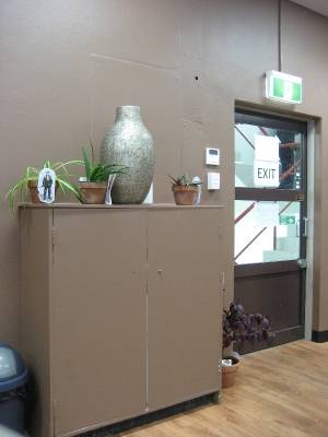 Potted plants 11.jpg