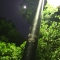Bright Lights