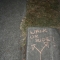quantum junction
