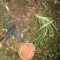 Potted Plant Distribution by Kommando Potted Plant Distribution by Kommando
