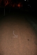 leaving a trail leaving a trail
