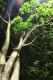 under the trees under the trees