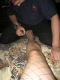 feet