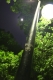 Bright Lights Bright Lights