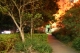 past lovingly tended gardens past lovingly tended gardens