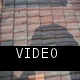 walkover