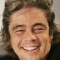 Benicio Del Toro