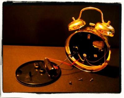 The back is removed and the organs revealed.