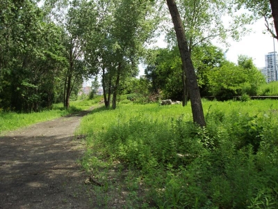 Could have been a park