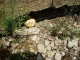 Ball & Terrain.