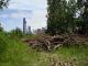 A pile of sticks!