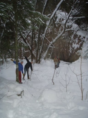 My Path along The Creek