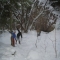 My Path along The Creek
