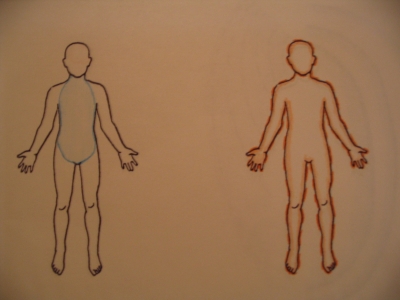 Internal organ and Fate