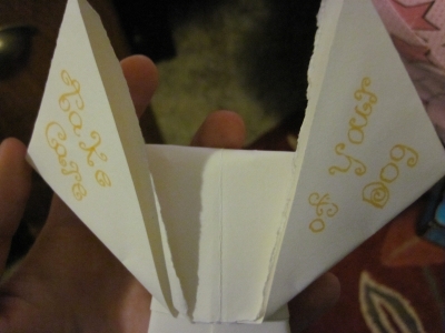 The back of Anubis The back of Anubis