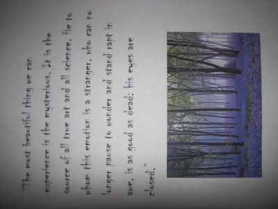 A random quote and pretty picture. A random quote and pretty picture.