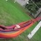 Fletcher in the Hammock