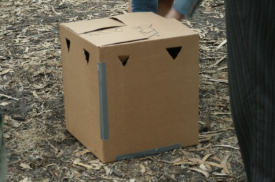 The Box The Box