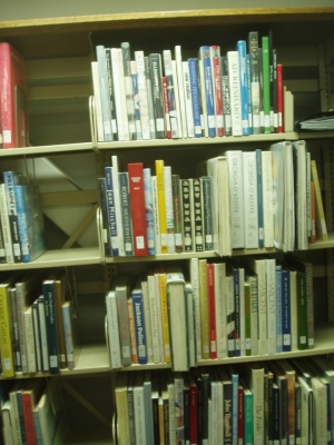 Georgia O’Keefe Shelf Georgia O’Keefe Shelf