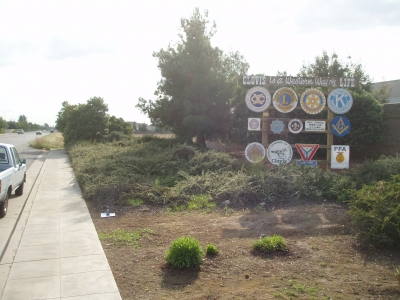 The great sign of Clovis