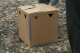The Box