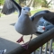 l_e925391c2be07e24134a7290f1cbec79.jpg