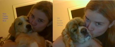 Puppy Kissing.jpg