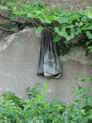 How did those get there? (Or maybe I don't want to know.)