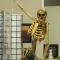Import store skeleton