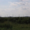 Wind farm