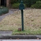Next to My Mailbox!