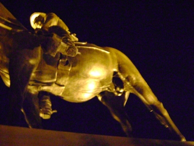 Bronzed Horse Genitalia