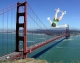 STL 1, SF 0. 