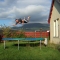 Trampoline Fun