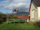 Trampoline Fun
