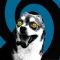 crazyruciecolor.jpg
