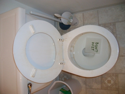 008.JPG