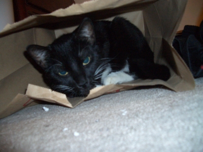 See he's in the bag