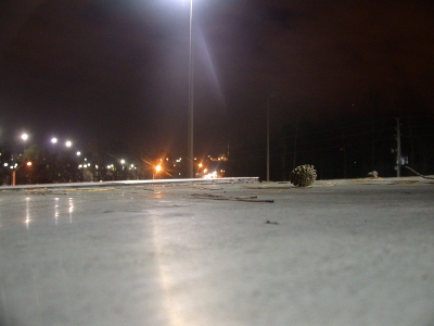 City lights