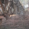 The Bridge