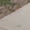 Coin 1