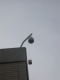Looking up.