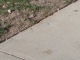 Coin 1