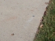 Coin 2