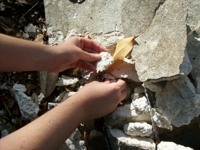 main_06-1000022106103.jpg