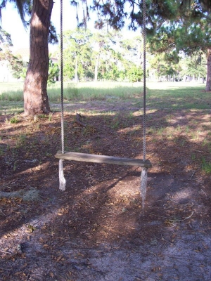 main_11-1000027106105.jpg