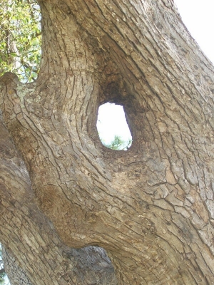 main_17-1000033106108.jpg