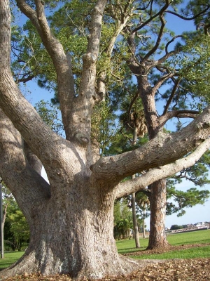 main_20-1000036106110.jpg